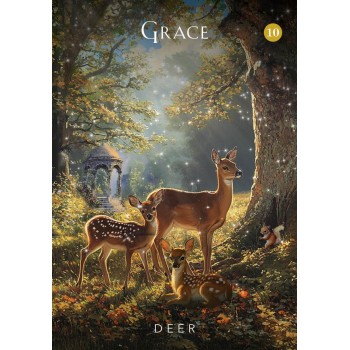 The Mystical Garden Oracle kortos Hay House